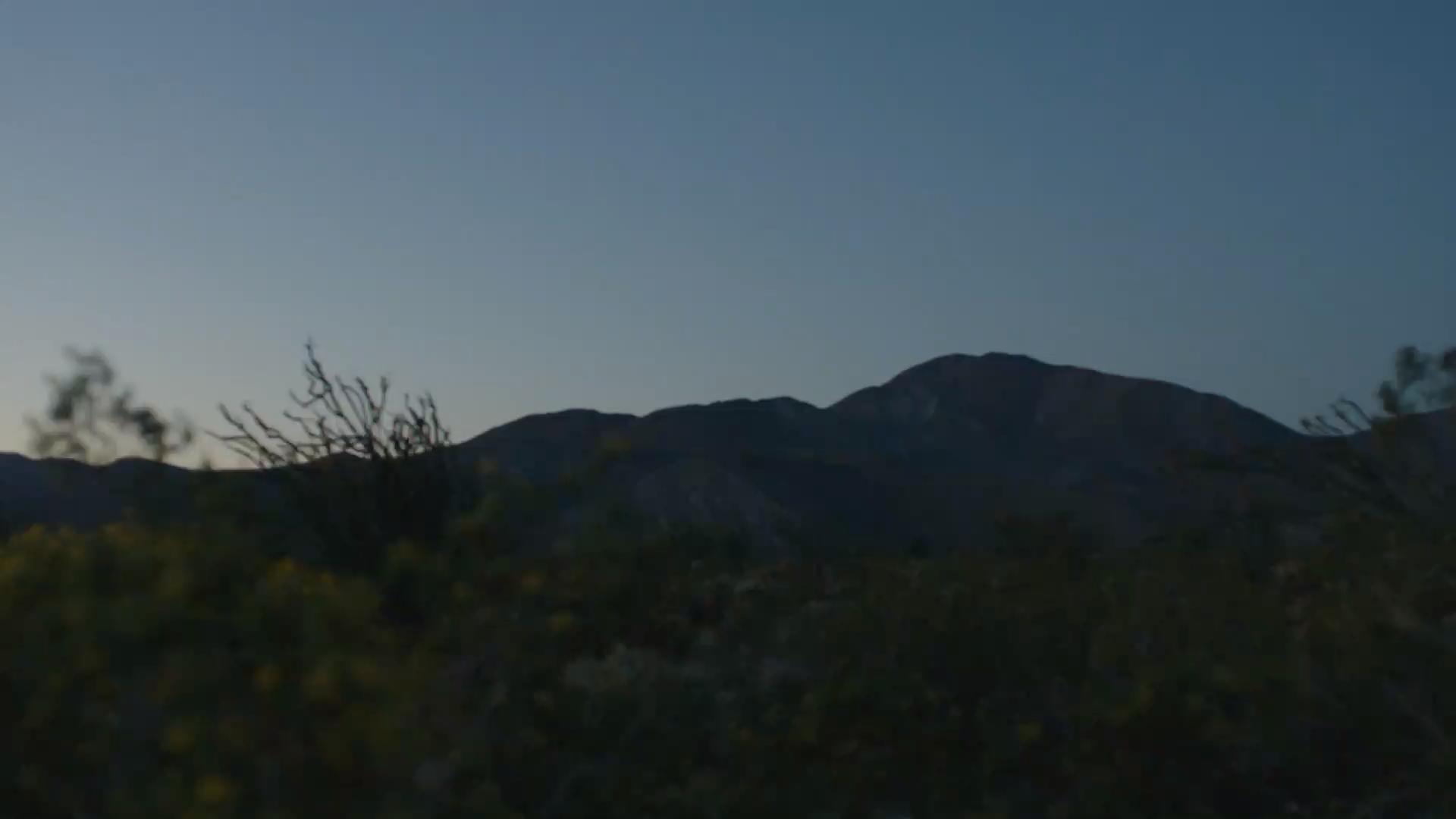 harbl-video-3_4.jpeg